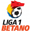 Liga 1