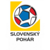 Slovaški pokal